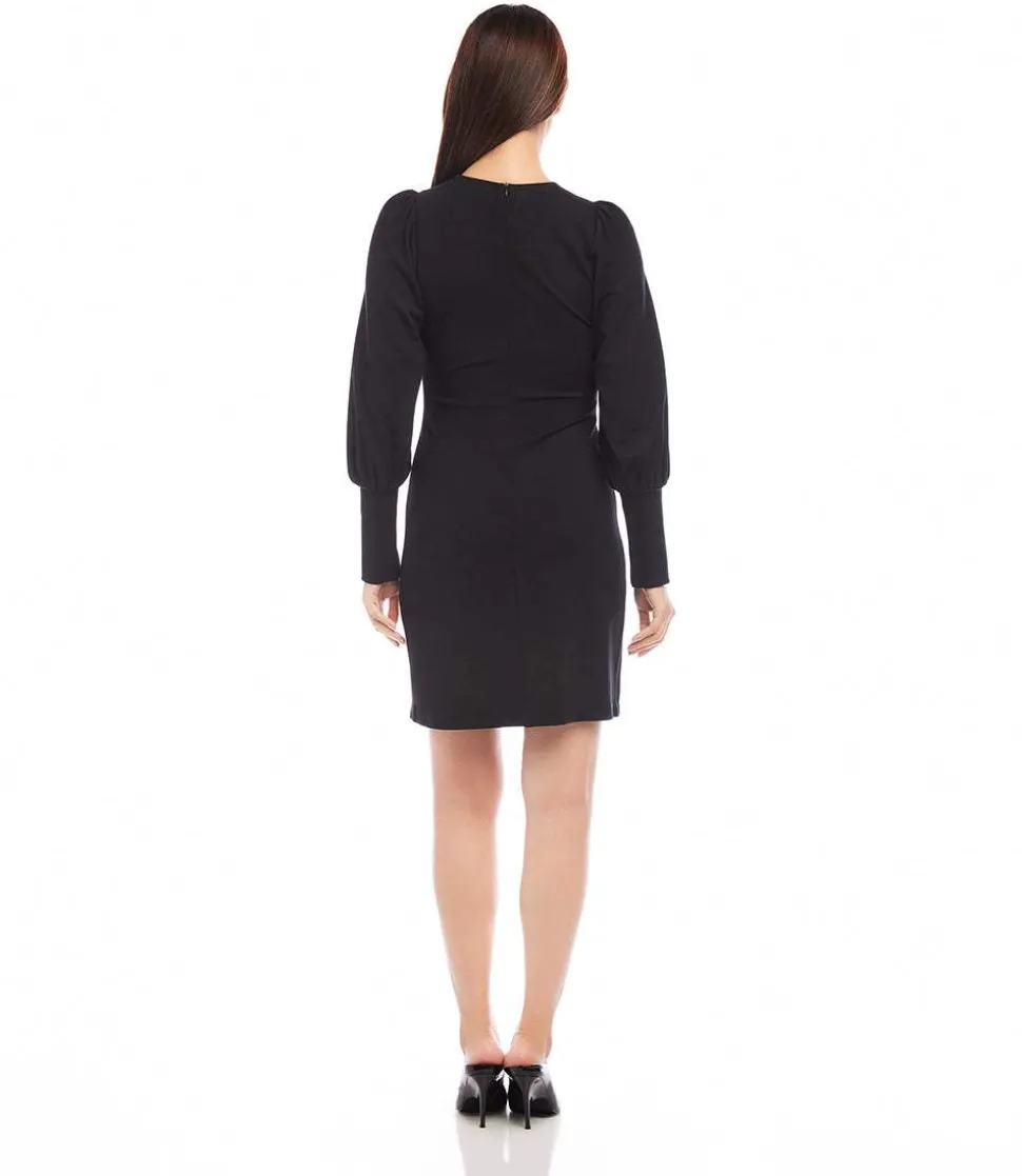 Bishop Sleeve Dress