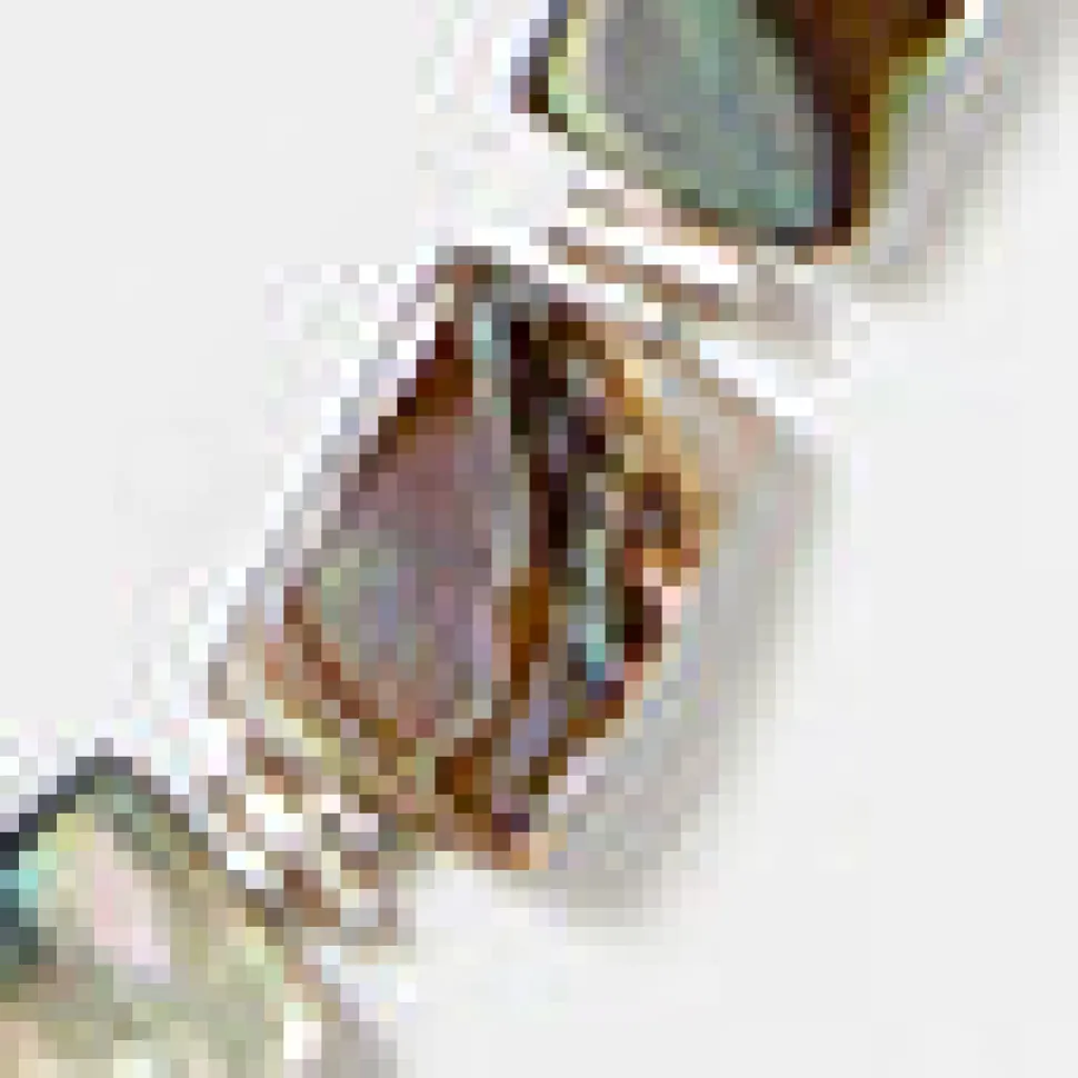 Chan Luu Beaded Abalone Necklace