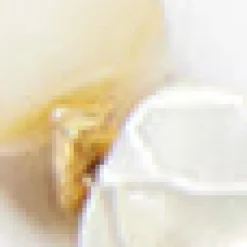 Chan Luu Beaded Mother Of Pearl Necklace