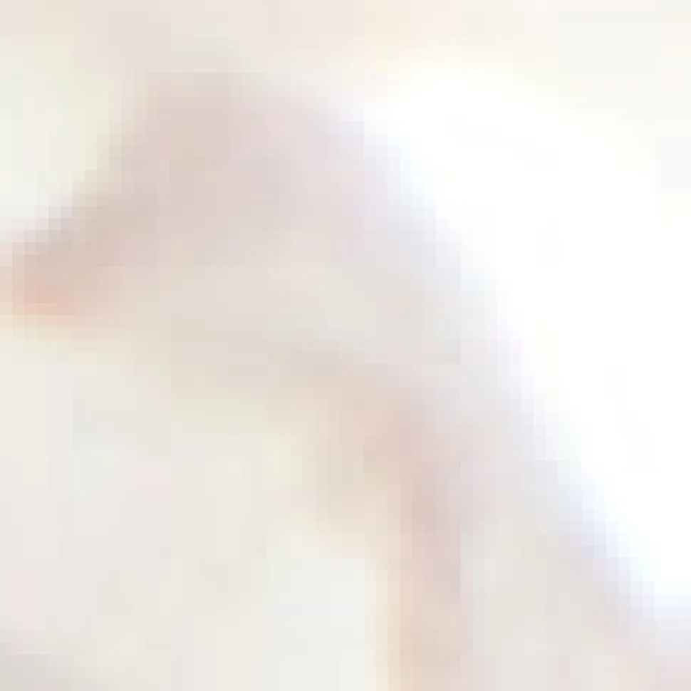 Chan Luu Pearl Necklace