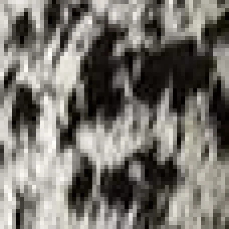 Cowhide Mules