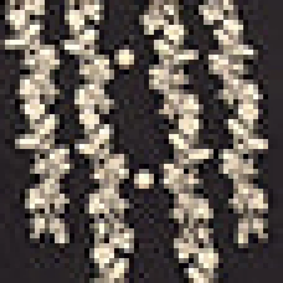 Embroidered Shirt