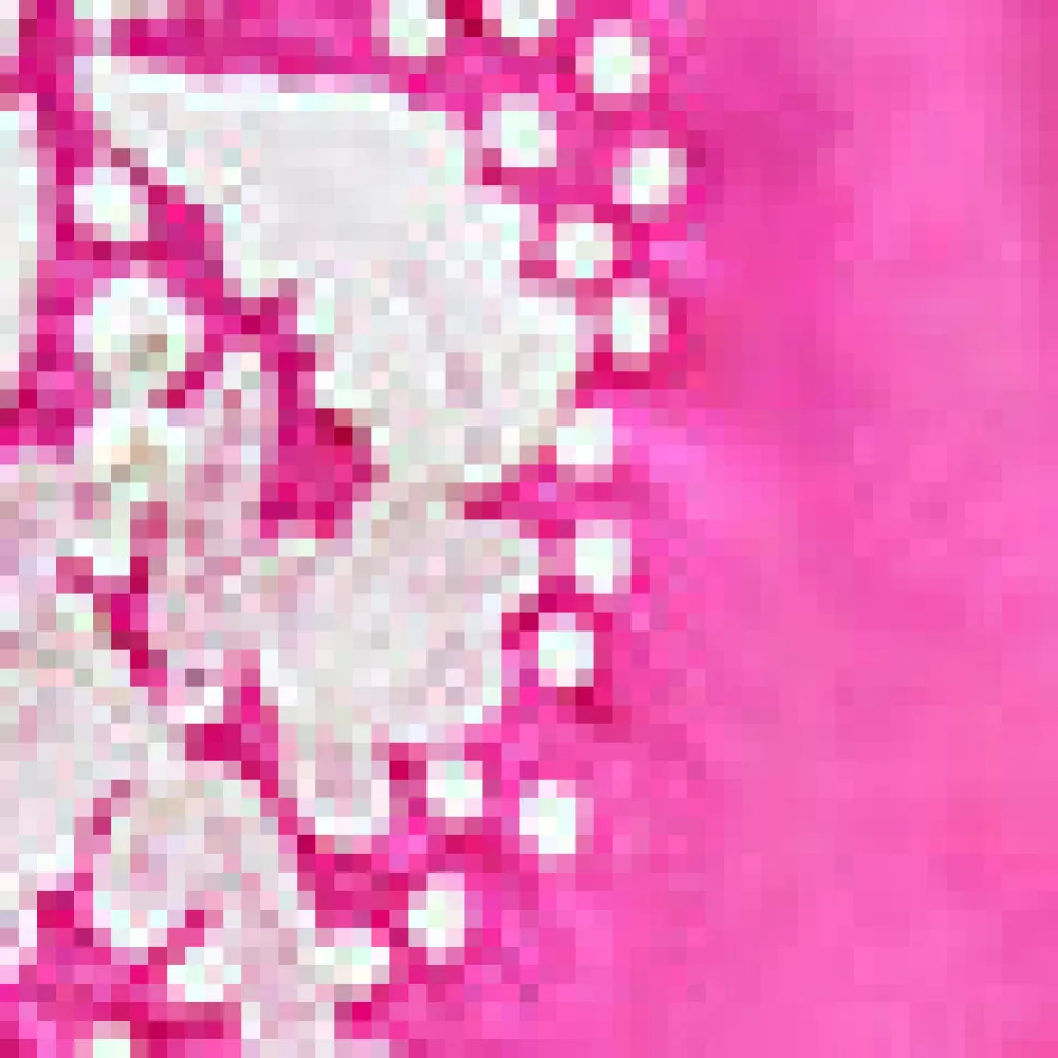 Embroidered Tunic