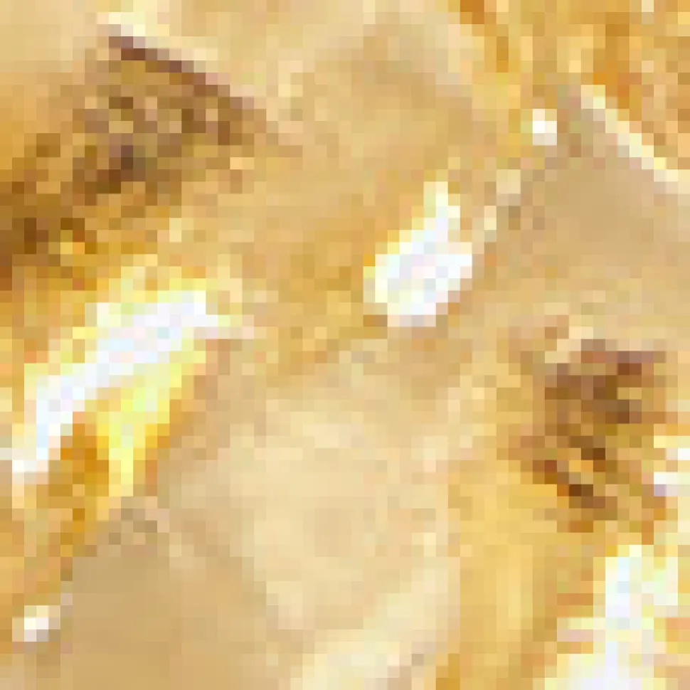 Gold Horse Necklace