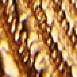 Gold Plated Shell And Pearl Necklace