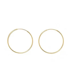 Large Hoop Earrings