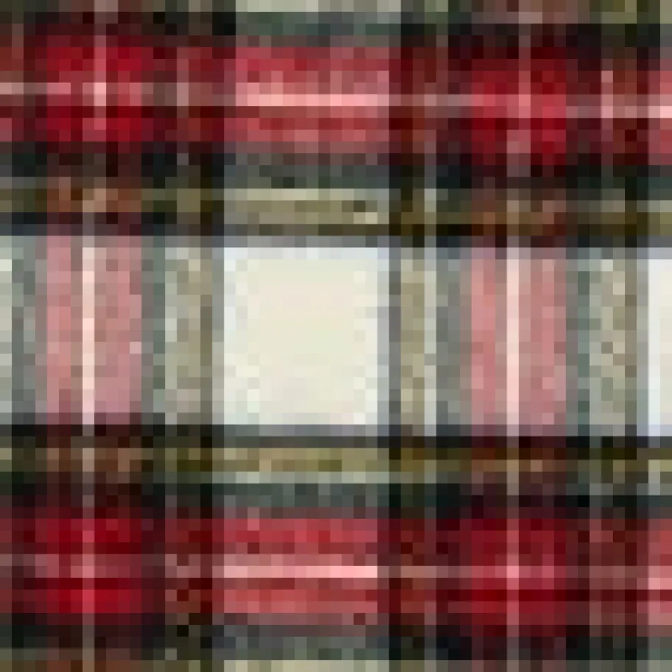 Merino Wool Fringed Plaid Scarf