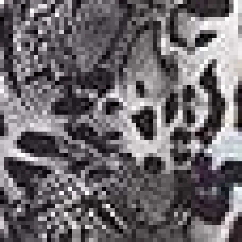 Mesh Side Shirred Midi Dress