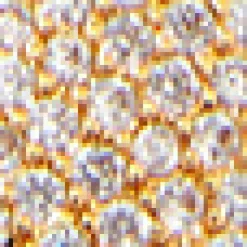 Pavé Butterfly Pendant Necklace