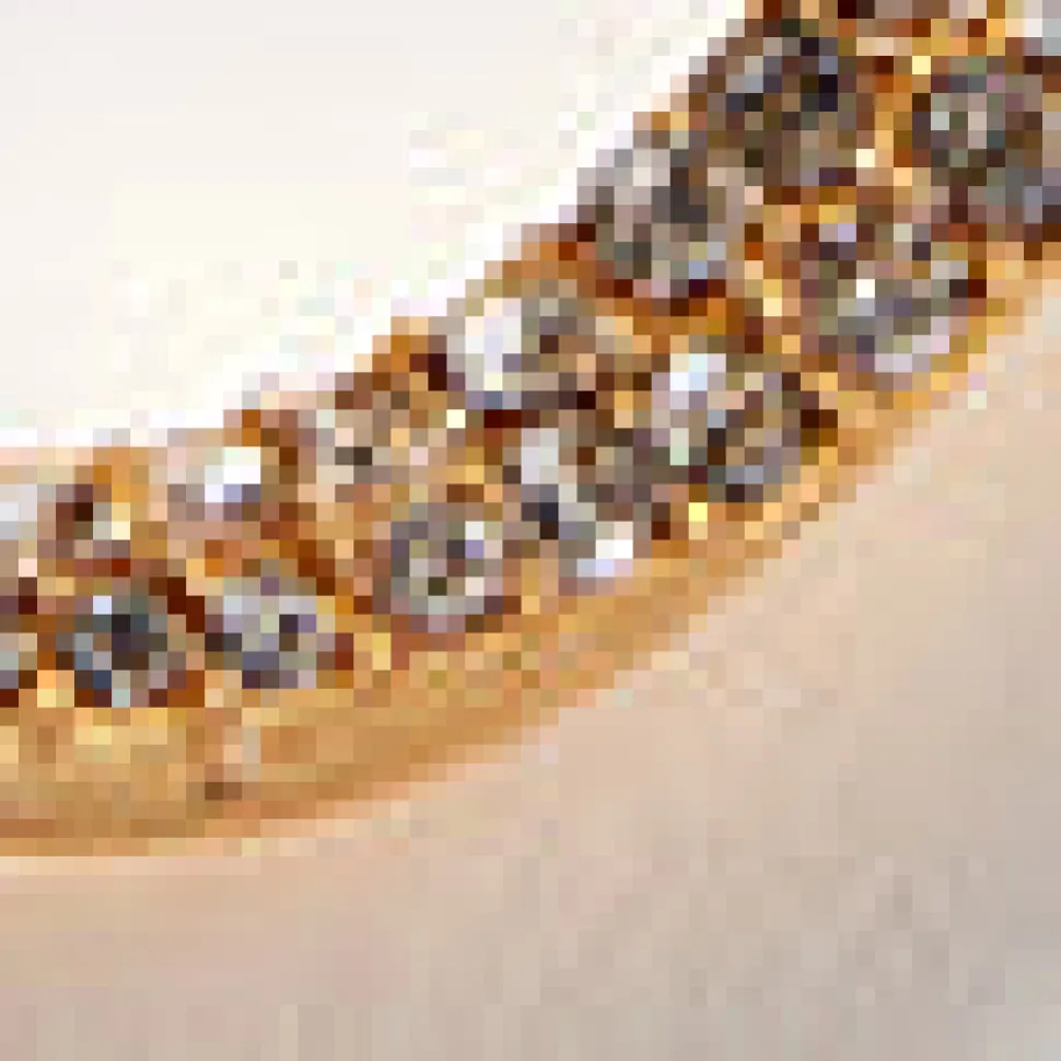 Pavé Horseshoe Necklace