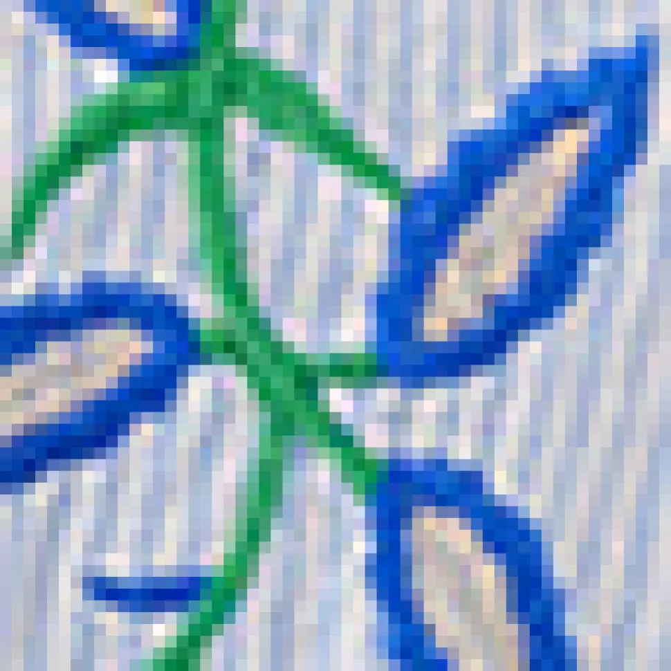 Petite Size Embroidered Drawstring Top