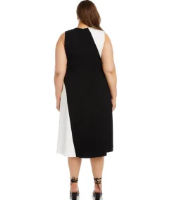 Plus Size Sleeveless Colorblock Dress