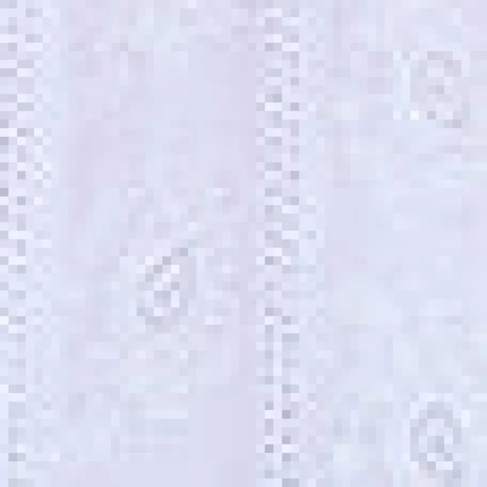 Short Sleeve Embroidered Dress