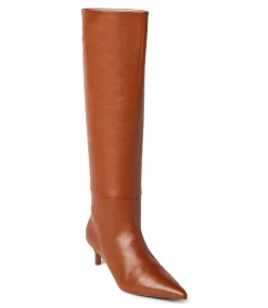 Tall Pointed Toe Boots