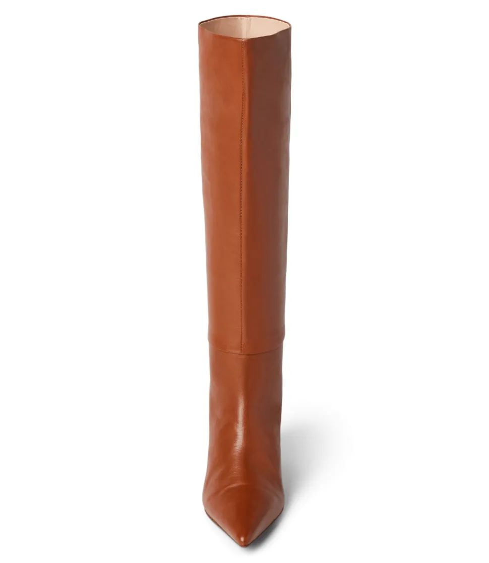 Tall Pointed Toe Boots