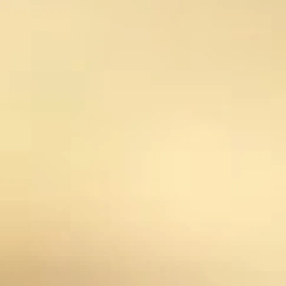 Thin Gold Chain Bracelet