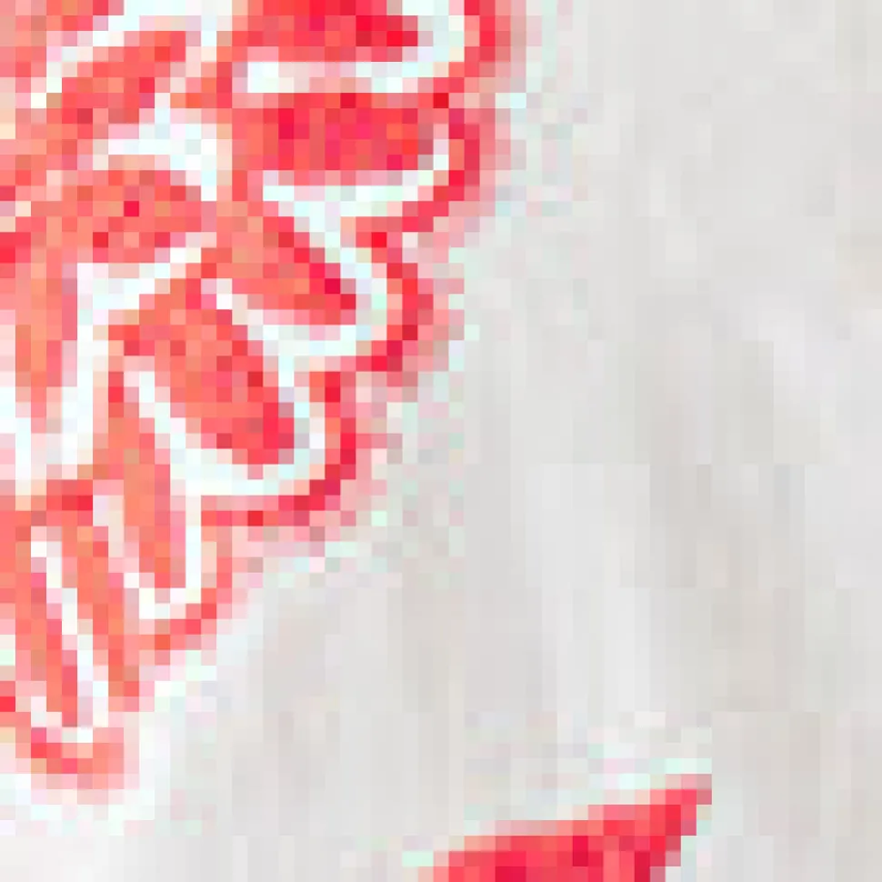 Three Quarter Sleeve Embroidered Top