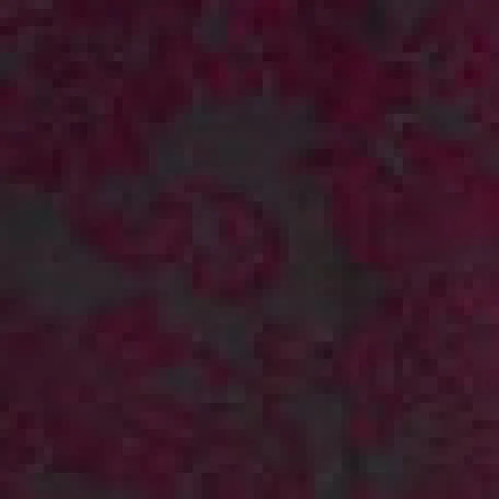 Velvet Burnout Shirttail Top